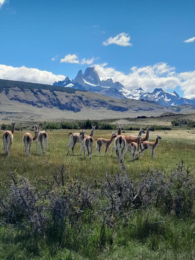Vera Apart El Chaltén Zewnętrze zdjęcie